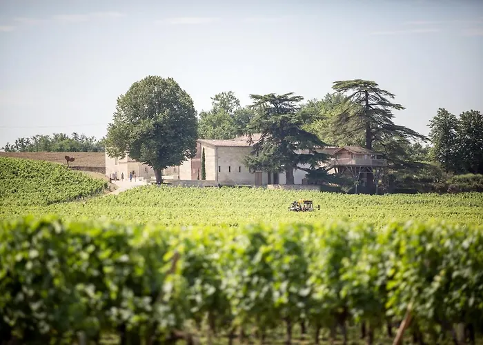 Bed and Breakfast i Saint-Émilion