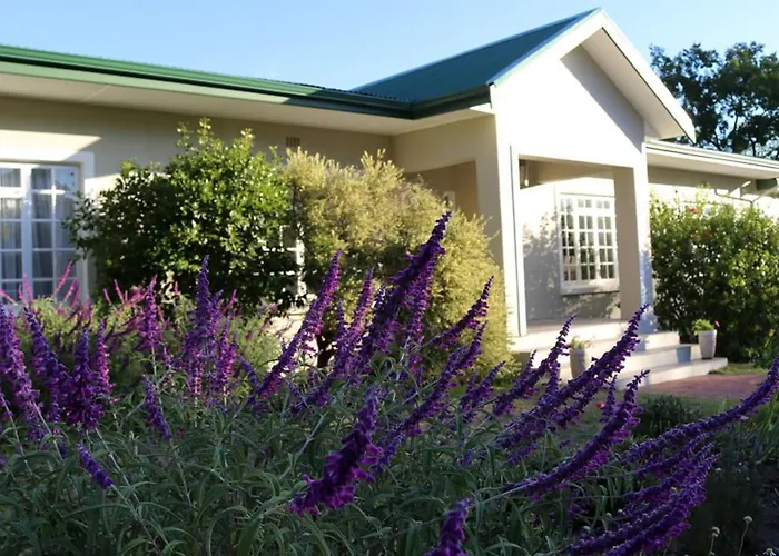 Guest Houses in Franschhoek