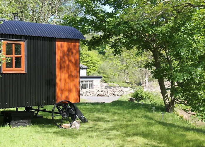Bed and Breakfasts in Rosses Point