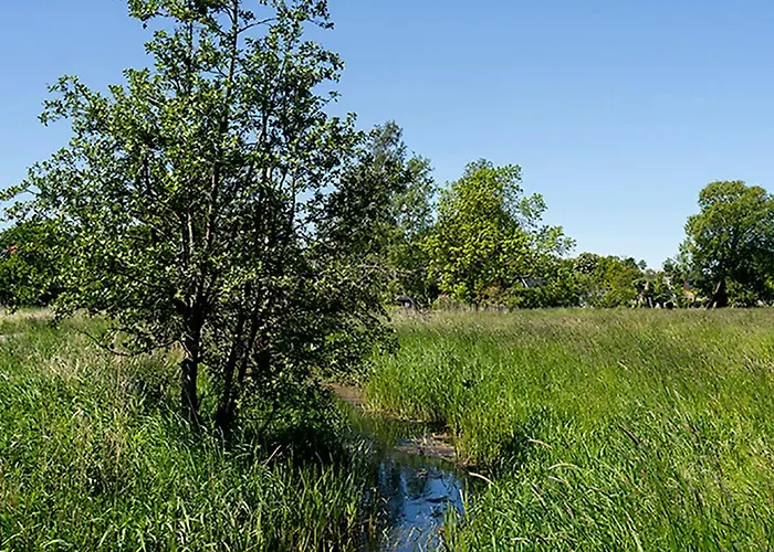 Bed and Breakfast i Roskilde