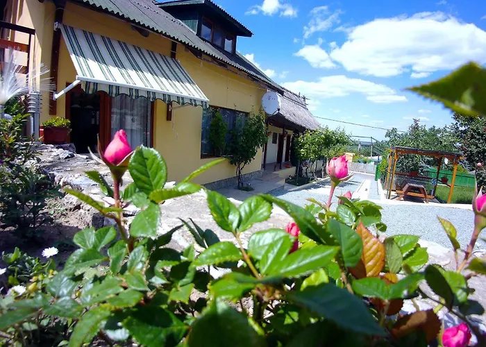 Guest Houses in Mahmudia