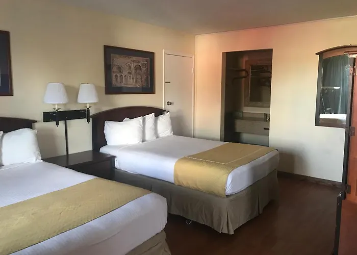 Cheap Hotels in New Port Richey