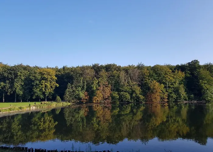 Gæstehuse i Bruxelles