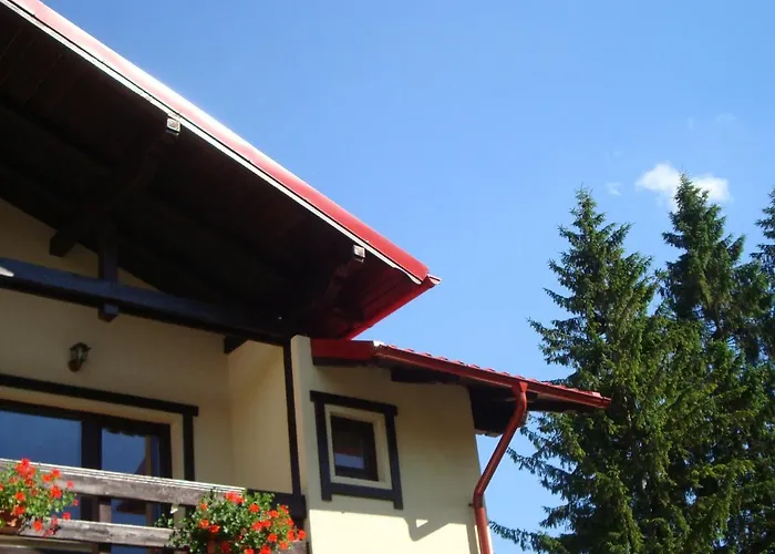 Billig Overnatning i Buşteni