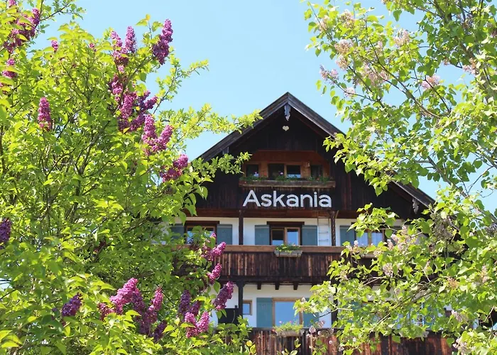 Günstige Hotels in Bad Wiessee