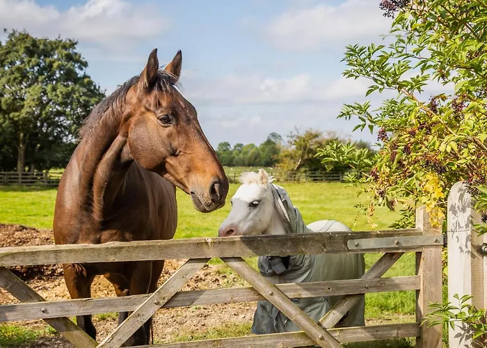 Bed & Breakfast in Broadway (Worcestershire)
