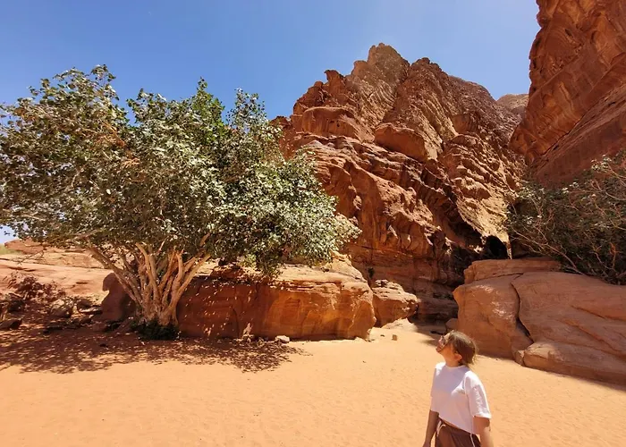 Billiga Hotell i Wadi Rum