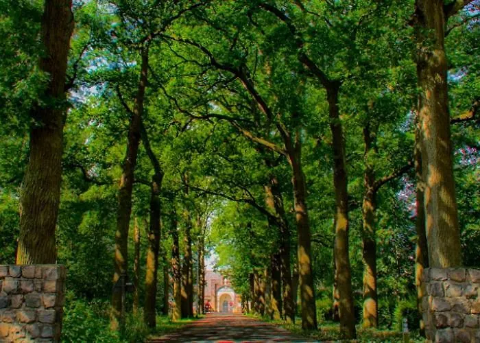 Bed and Breakfast in Valkenswaard