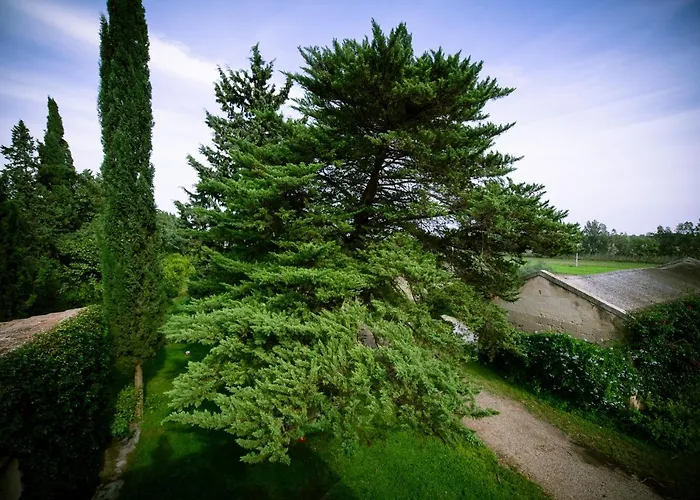 Bed and Breakfast a Castellaneta Marina
