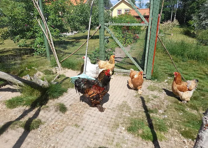 Bed and Breakfast i Valdemarsvik