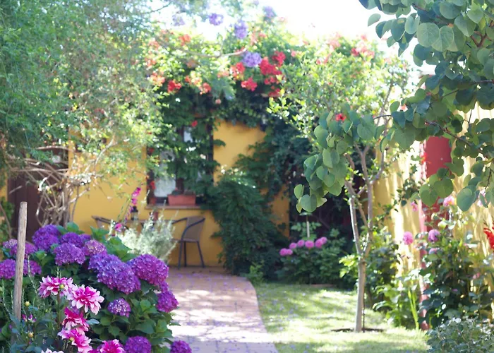 Hoteles Baratos en Matalascañas