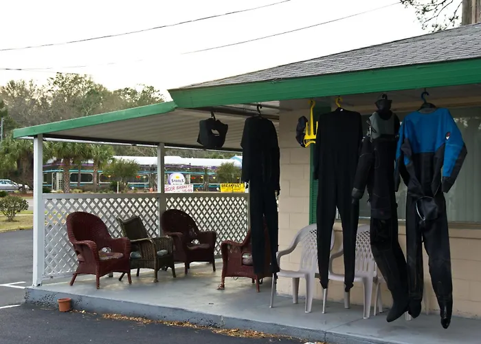 Motels in Steinhatchee