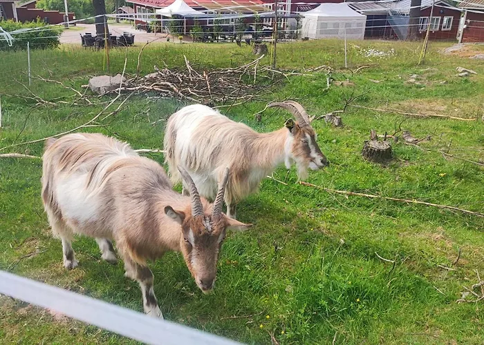 Bed and Breakfast i Leksand