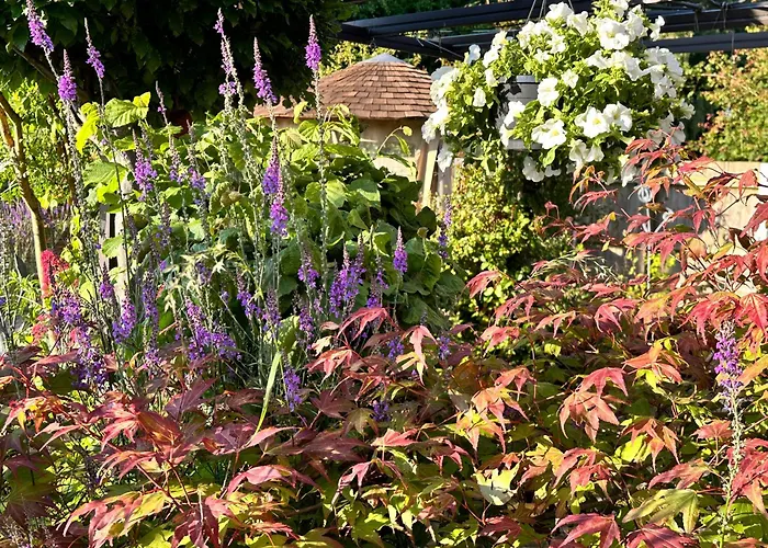 B&B in Loughborough