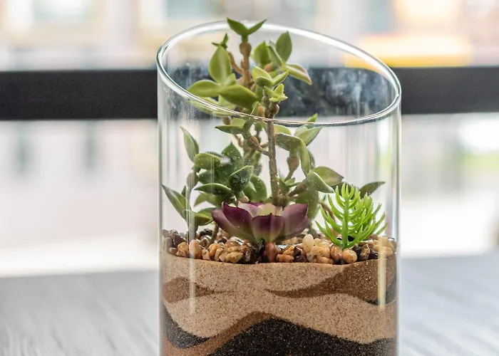 Gæstehuse i Manchester