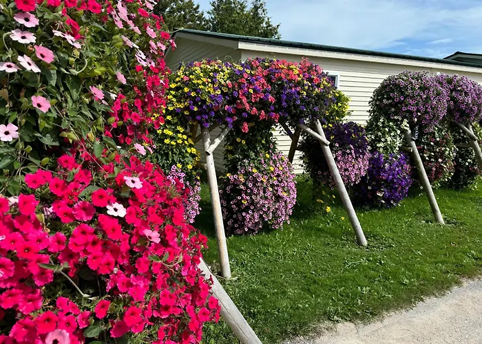 Motels in Onaway