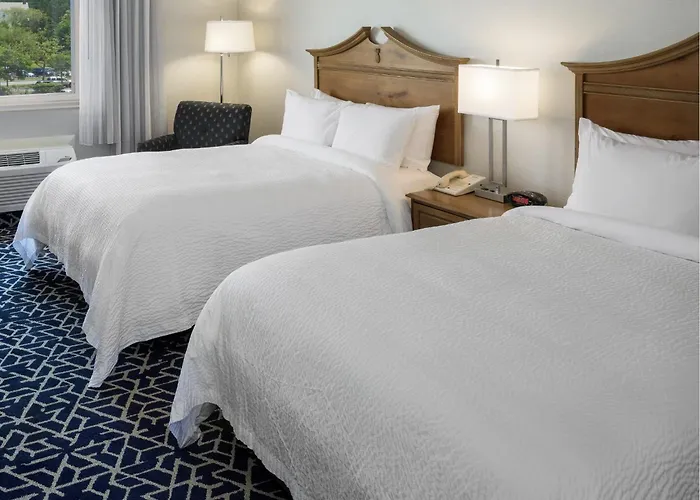 Cheap Hotels in Newport