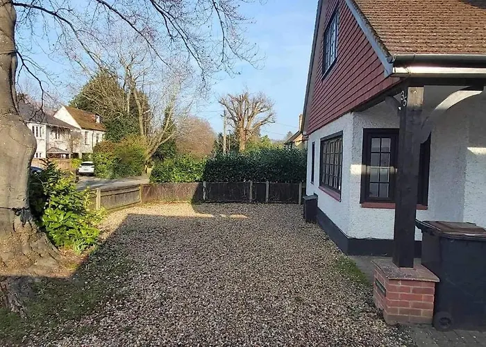 Bed and Breakfasts in Camberley