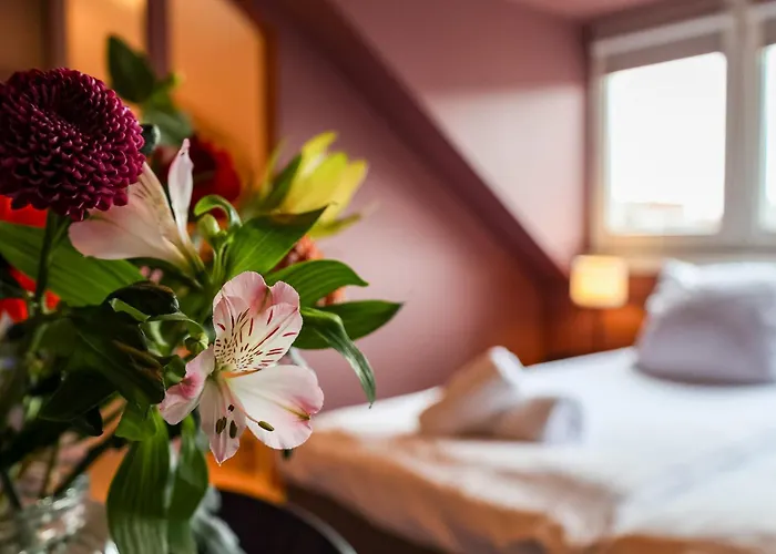 Goedkope Hotels in Roermond