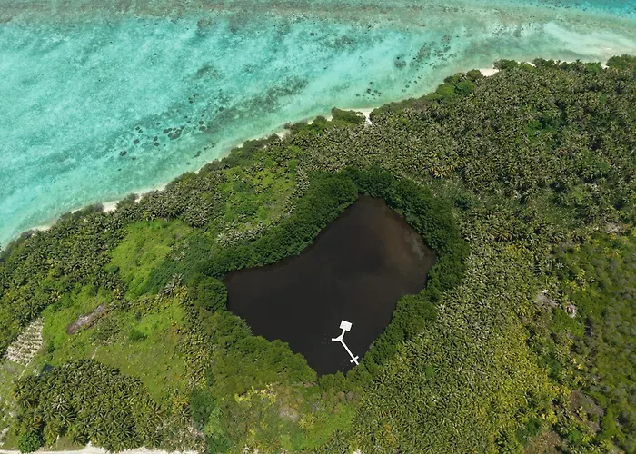 Cheap Hotels in MALDIVES
