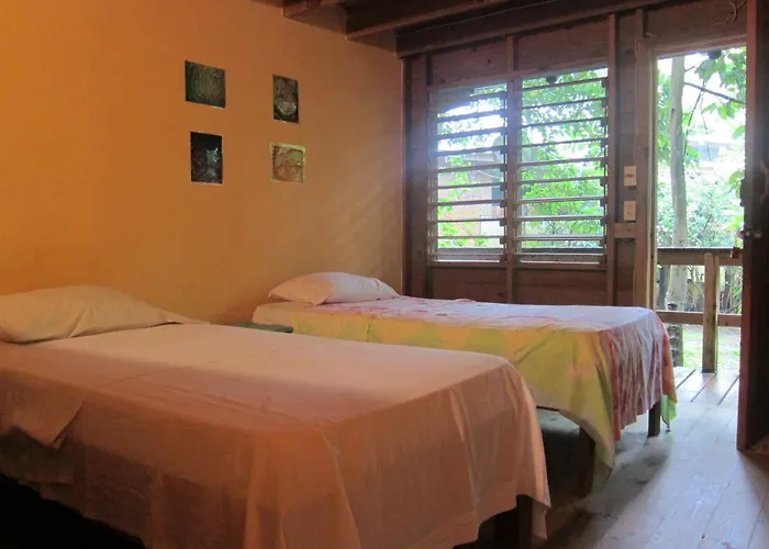 Cheap Hotels in Roatan