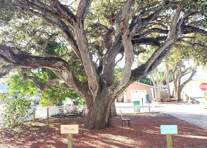 Bed and Breakfasts in Palm Coast