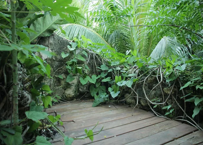 Hostels in Bacalar