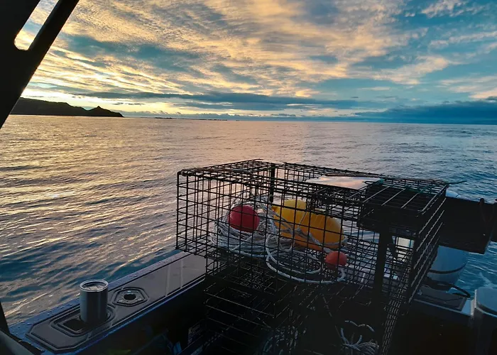 Bed and Breakfast i Kaikoura