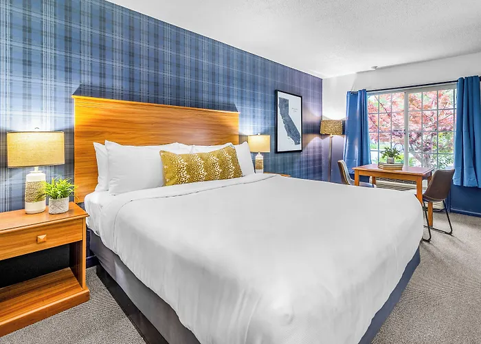 Motels in McCloud