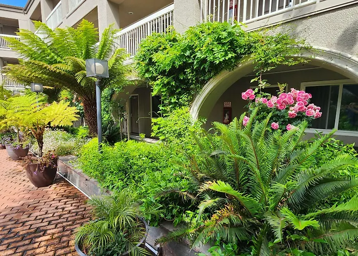 Cheap Hotels in Millbrae