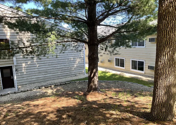 Motels in Forest Lake
