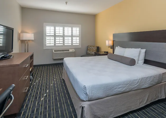 Cheap Hotels in San Bruno