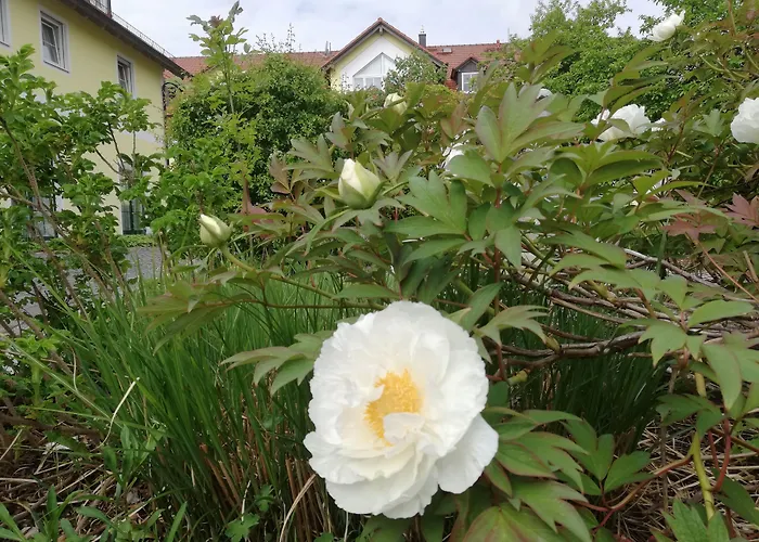 Goedkope Hotels in Erding