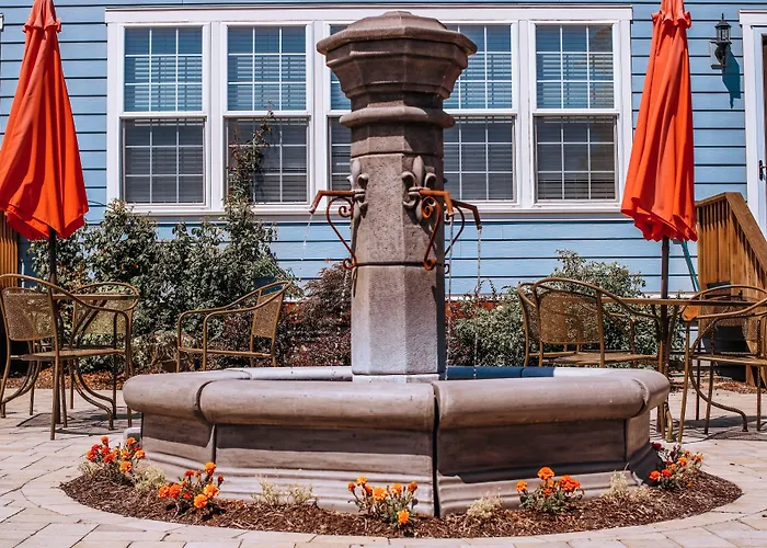 Bed and Breakfasts in Albany