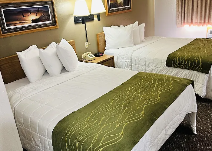 Motels in Arlington