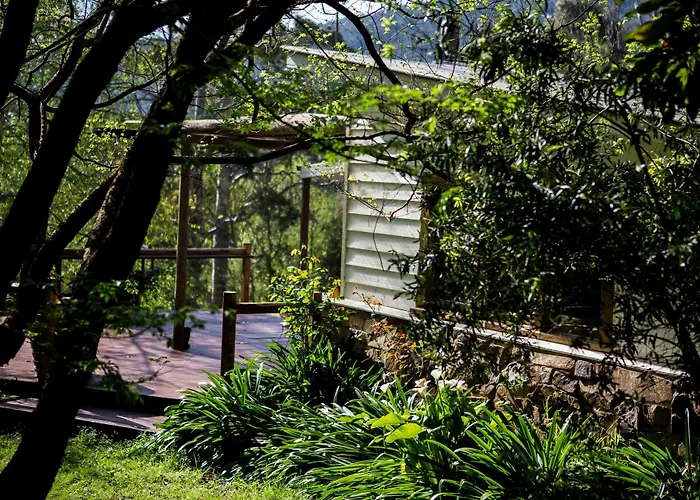 Bed and Breakfasts in Walhalla