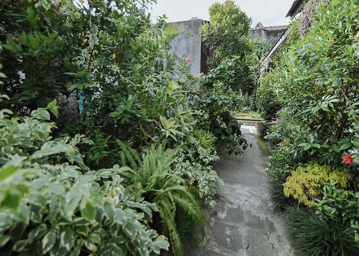 Affittacamere a Yogyakarta