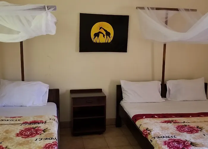 Hostels in Moshi
