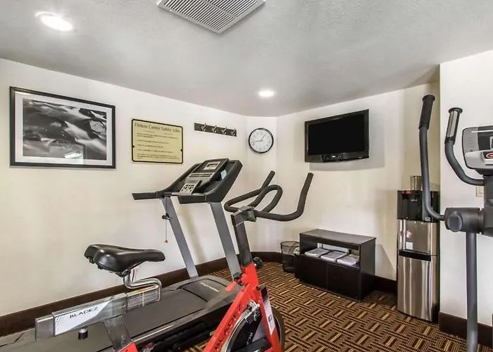 Cheap Hotels in Forest Park