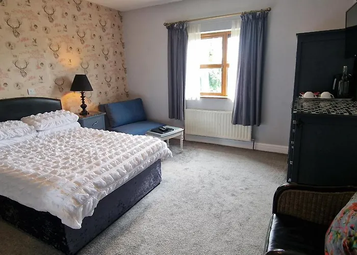 Bed and Breakfast in Mayo