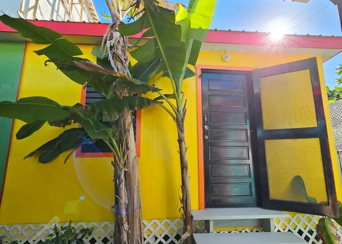 Guest Houses in Caye Caulker