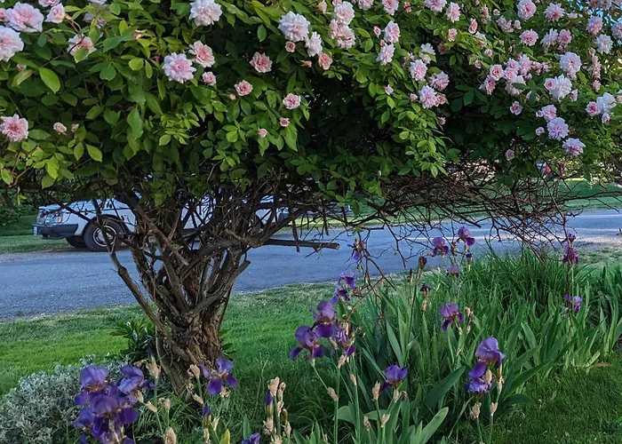 Bed and Breakfasts in Lummi Island