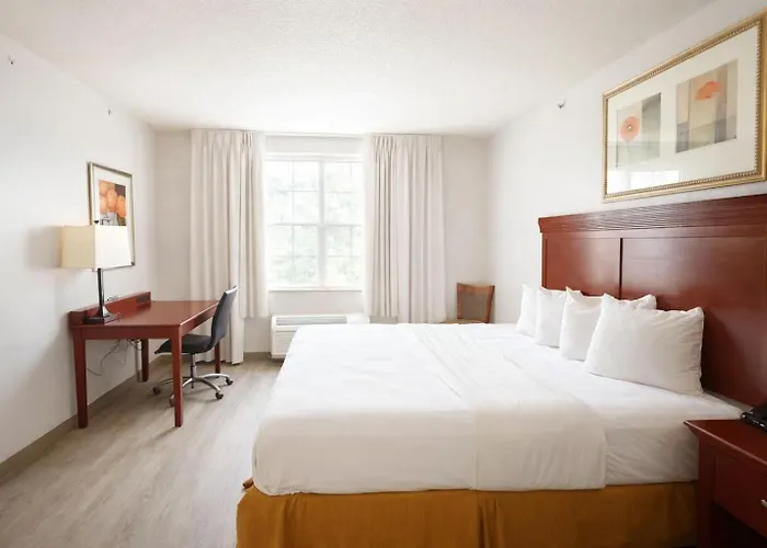 Cheap Hotels in Seffner