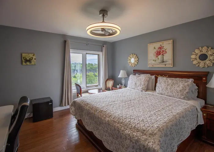 Bed and Breakfast in Hamilton