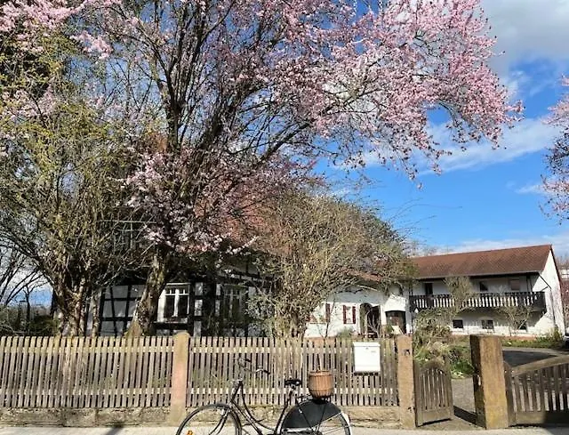 Bed and Breakfast i Freiburg im Breisgau