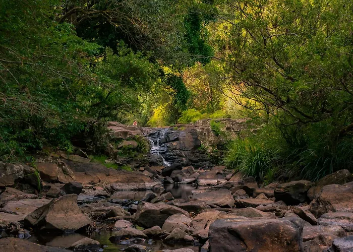 Bed and Breakfasts in Maleny