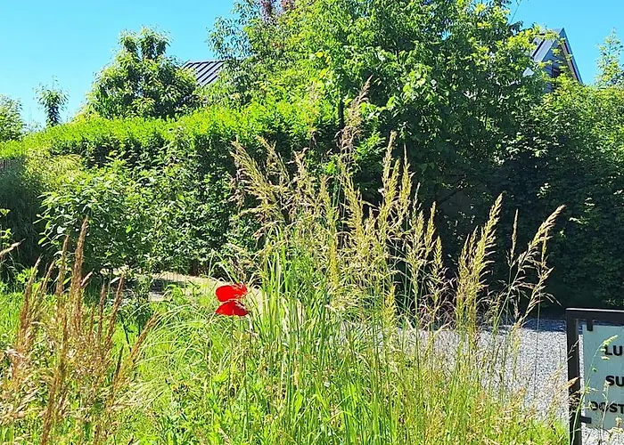 Bed and Breakfast in Almere