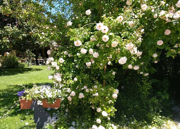 Bed and Breakfast i Padua