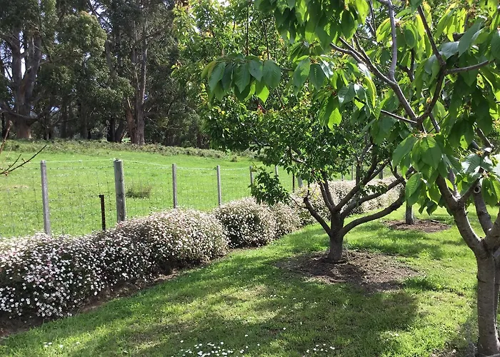 Bed and Breakfasts in Port Arthur