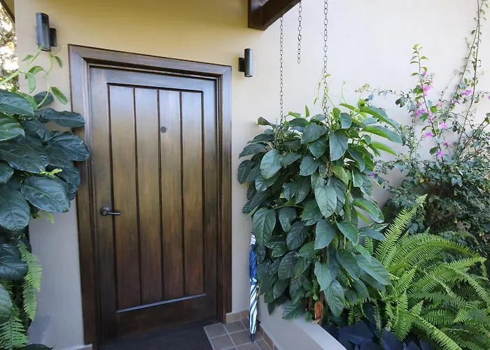 Bed and Breakfasts in Boquete